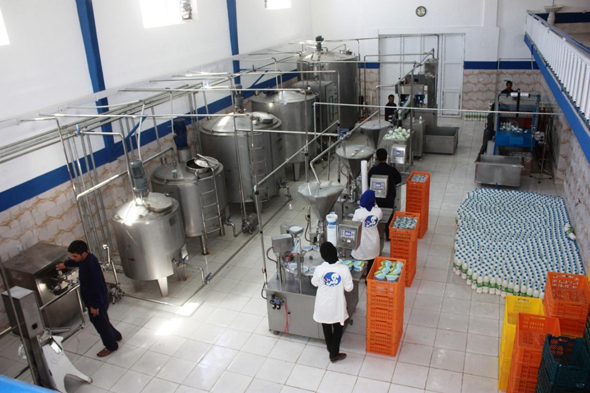 text describing
the image